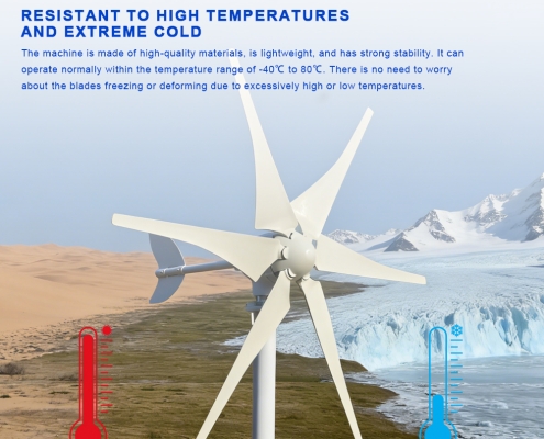 S6-1000 Horizontal Axis Wind Turbine(12)